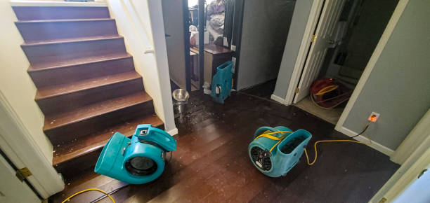 Best 24-hour water damage restoration  in Castle Point, MO