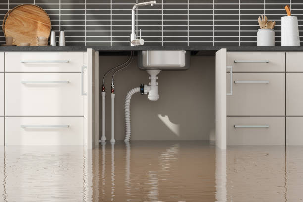 Best Flood damage cleanup  in Castle Point, MO