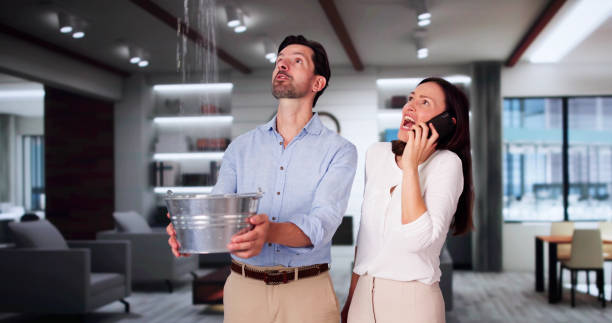 Best Water damage contractors near me  in Castle Point, MO